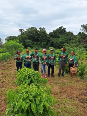 Com o intuito de contribuir para a expansão da cafeicultura em Guajará (distante 1.476 quilômetros de Manaus), o Instituto de Desenvolvimento Agropecuário e Florestal Sustentável do Estado do Amazonas (Idam) realiza, nos dias 27 e 28 de fevereiro, o curso “Produção de Café por Estaquia” no município. As inscrições para a capacitação estão abertas, são e podem ser realizadas por meio do link https://forms.gle/g4HEpCXFJ4tJKZn98