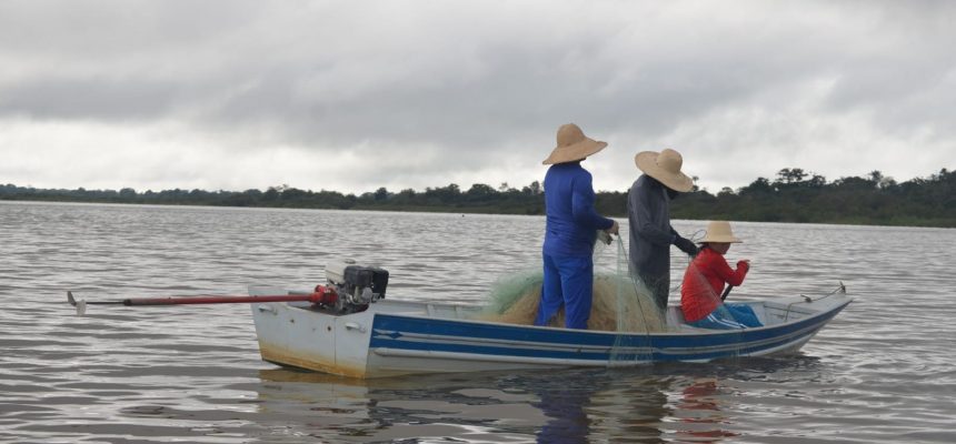 O período de defeso do tambaqui (Colossoma macropomum) no Amazonas, que ocorre anualmente entre 1º de outubro e 31 de março, chega ao fim nesta segunda-feira (31/03), permitindo que, a partir de 1º de abril, a pesca seja retomada. Essa medida é fundamental para garantir a preservação da espécie, protegendo sua reprodução natural durante os meses de defeso e assegurando a sustentabilidade dos estoques pesqueiros.