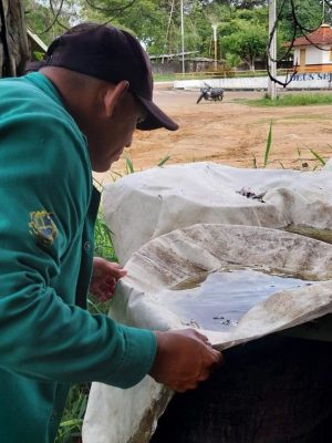 A Fundação de Vigilância em Saúde do Amazonas – Dra. Rosemary Costa Pinto (FVS-RCP), unidade da Secretaria de Estado de Saúde do Amazonas (SES-AM), divulga, nesta quinta-feira (29/05), o Informe Epidemiológico das Arboviroses no Amazonas. O levantamento está disponível: https: www.fvs.am.gov.br.