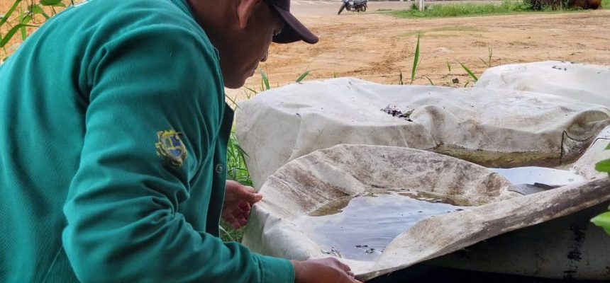 A Fundação de Vigilância em Saúde do Amazonas – Dra. Rosemary Costa Pinto (FVS-RCP), unidade da Secretaria de Estado de Saúde do Amazonas (SES-AM), divulga, nesta quinta-feira (29/05), o Informe Epidemiológico das Arboviroses no Amazonas. O levantamento está disponível: https: www.fvs.am.gov.br.