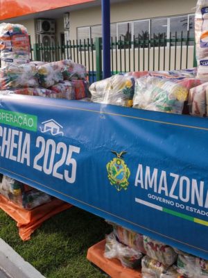 O Governo do Amazonas, por meio do Comitê Permanente de Enfrentamento a Eventos Climáticos e Ambientais, divulgou, nesta terça-feira (29), o boletim com informações atualizadas sobre a cheia no estado.