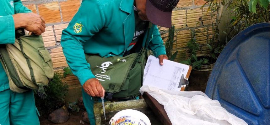 A Fundação de Vigilância em Saúde do Amazonas – Dra. Rosemary Costa Pinto (FVS-RCP), da Secretaria de Estado de Saúde do Amazonas (SES-AM), divulga, nesta quinta-feira (07), o Informe Epidemiológico das Arboviroses no Amazonas. O levantamento está disponível no site da fundação (www.fvs.am.gov.br).